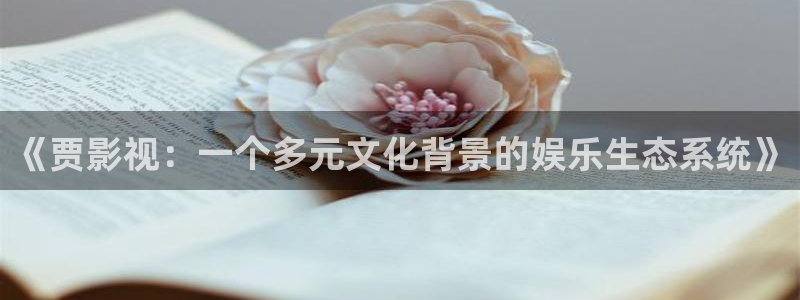 飘零午夜电影：《贾影视：一个多元文化背景的娱乐生态系统》