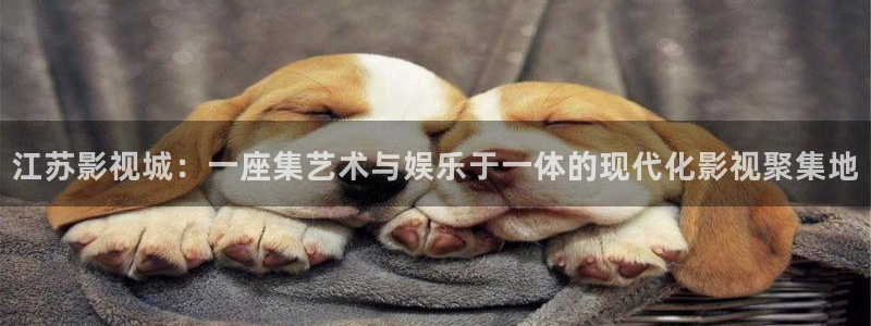 飘零影院电影在线观看