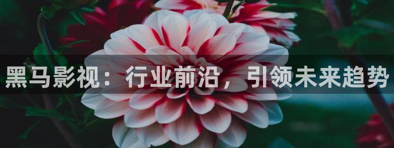 飘零影院伦理片