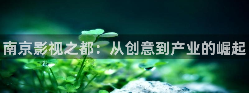 飘零免费电影