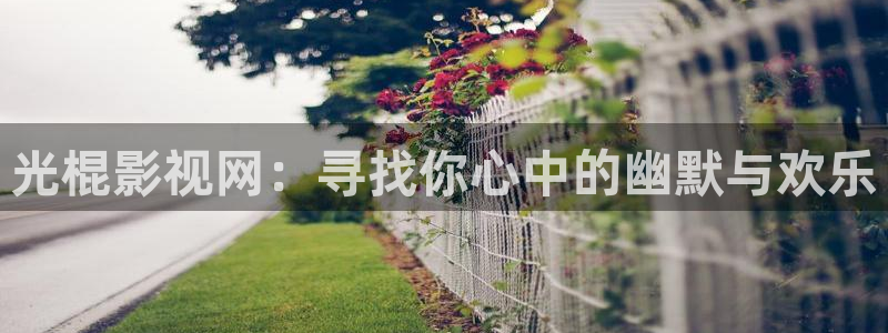 飘零影院八戒电影网