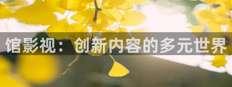 飘零电影