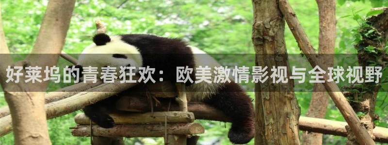 飘零电影院理论片：好莱坞的青春狂欢：欧美激情影视与全球视野