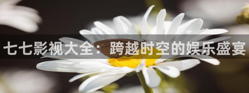 飘零电影在线影院：七七影视大全：跨越时空的娱乐盛宴