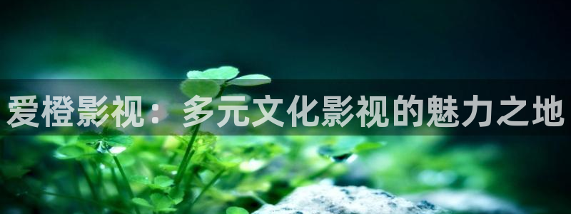 飘零影院电影在线观看：爱橙影视：多元文化影视的魅力之地