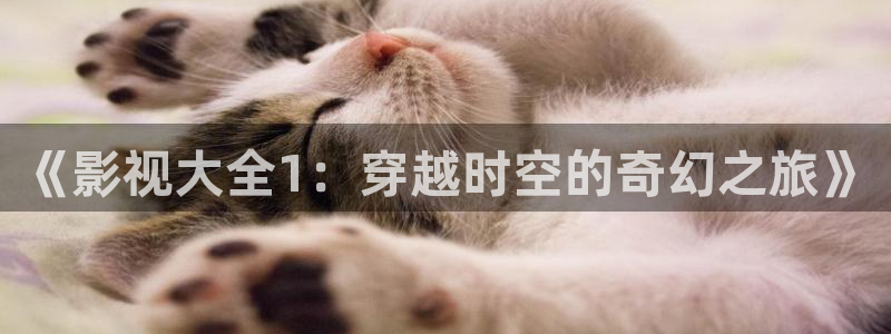 飘零电影院：《影视大全1：穿越时空的奇幻之旅》