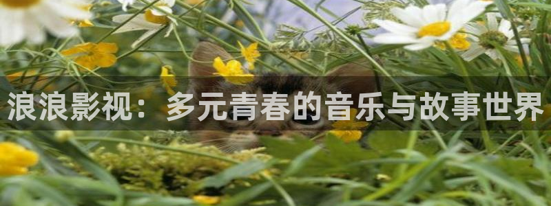 飘零影院6080