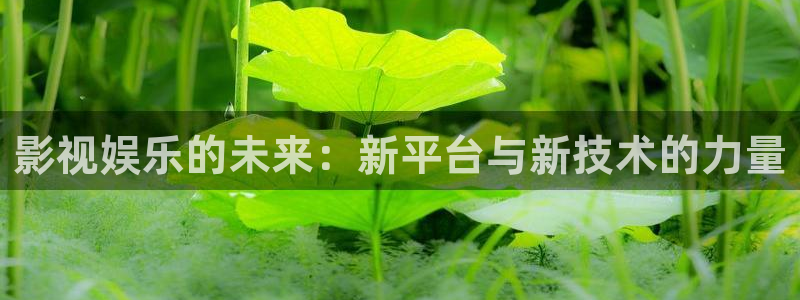 飘零影视全集完整版在线观看