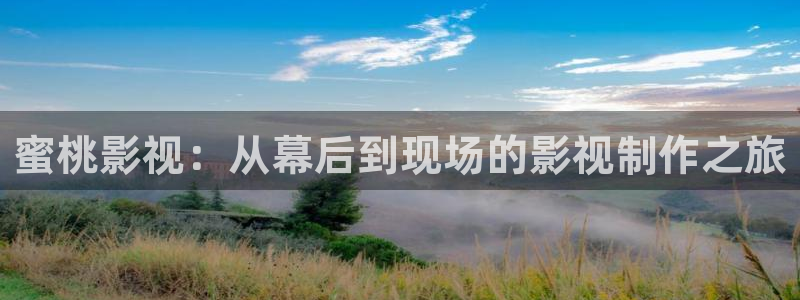 飘零影院手机：蜜桃影视：从幕后到现场的影视制作之旅