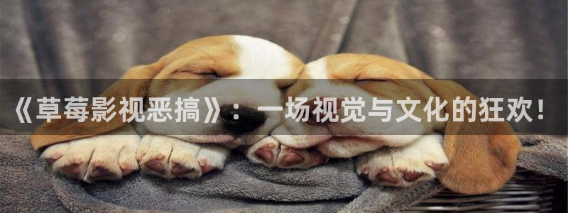 飘零影院最新电视剧免费追剧：《草莓影视恶搞》：一场视觉与文化的狂欢！