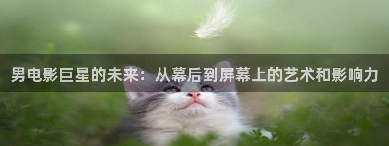 飘零电影院理论片