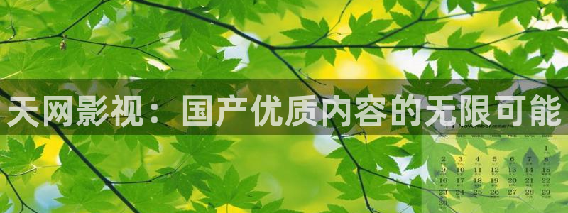 飘零电影高清在线观看