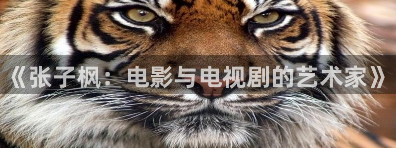 飘零电影完整版在线观看