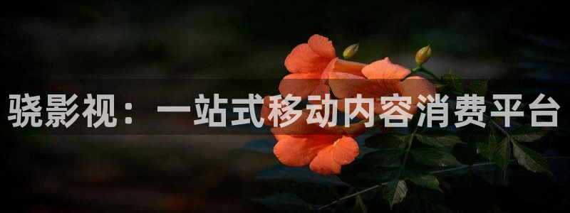 飘零影院在线看